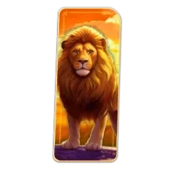 Lion
Safari